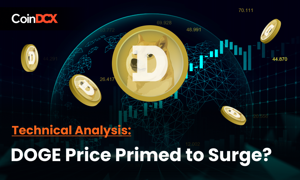Dogecoin Technical Analysis: Whales Accumulate DOGE, Price Primed to Surge Soon