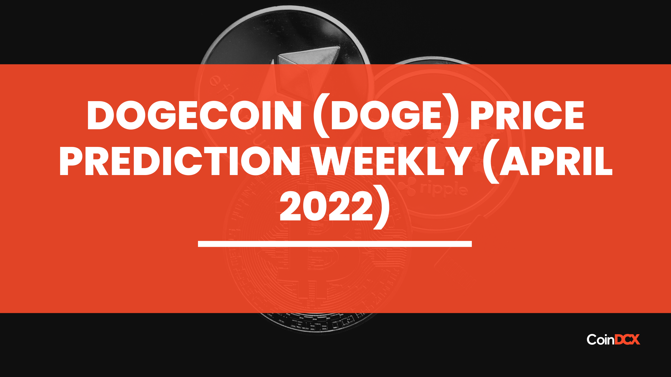 Doge Price