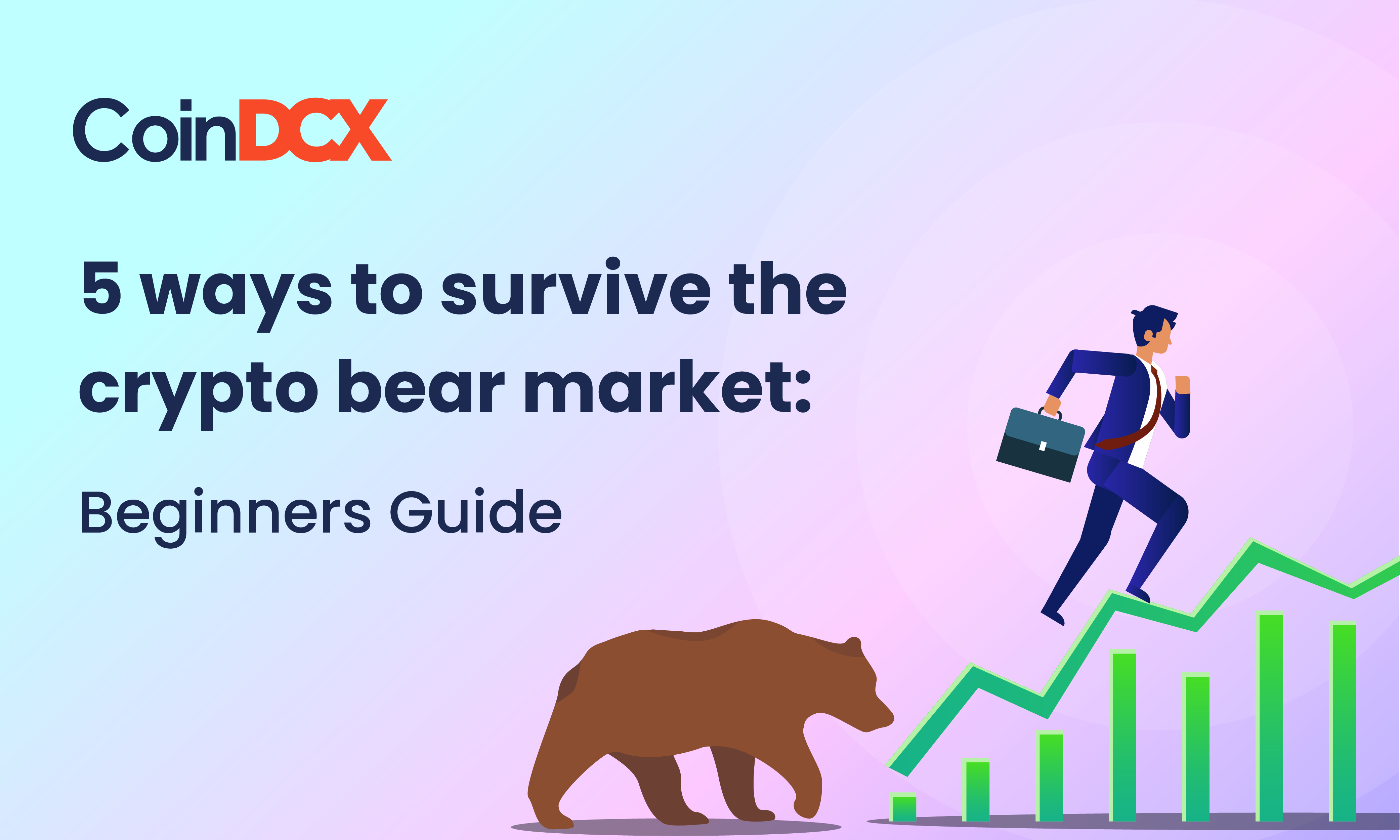 5 ways to survive the crypto bear market: Beginners Guide