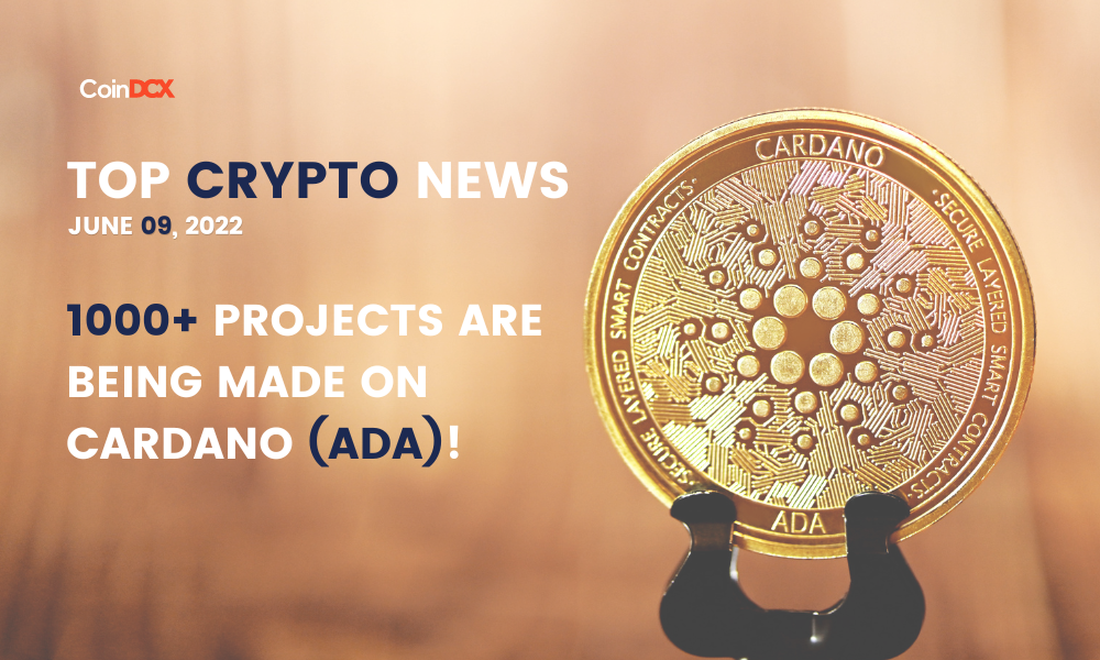 Crypto News
