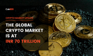 Crypto Crash Update