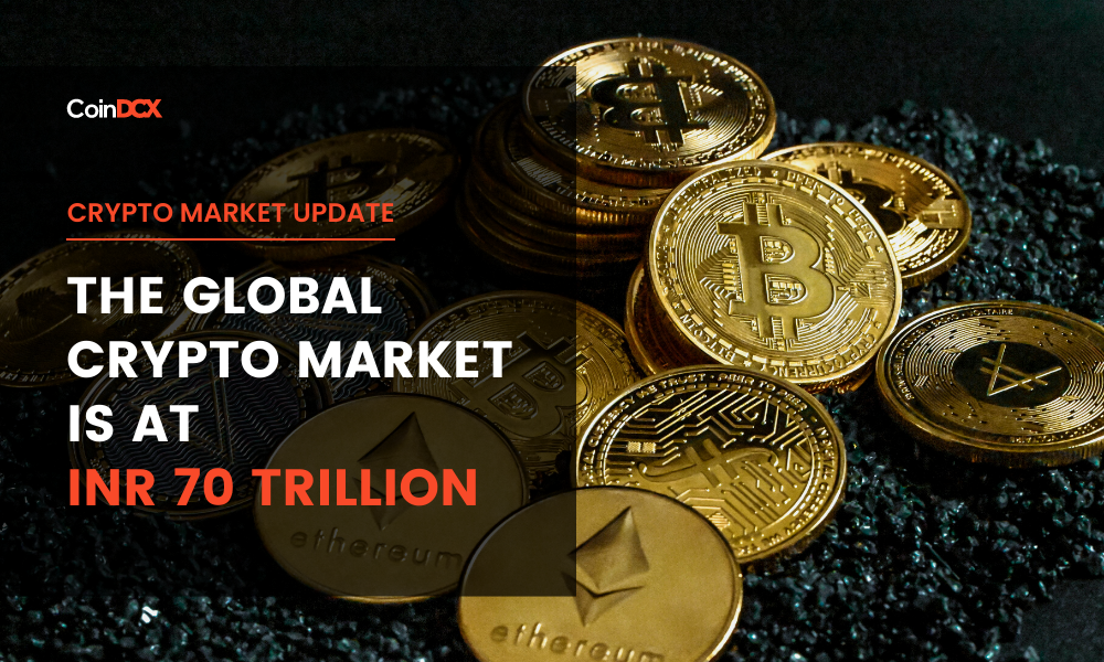 Crypto Crash Update