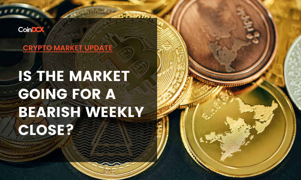 Crypto News