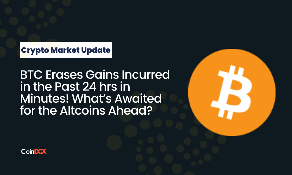 Crypto Market Update