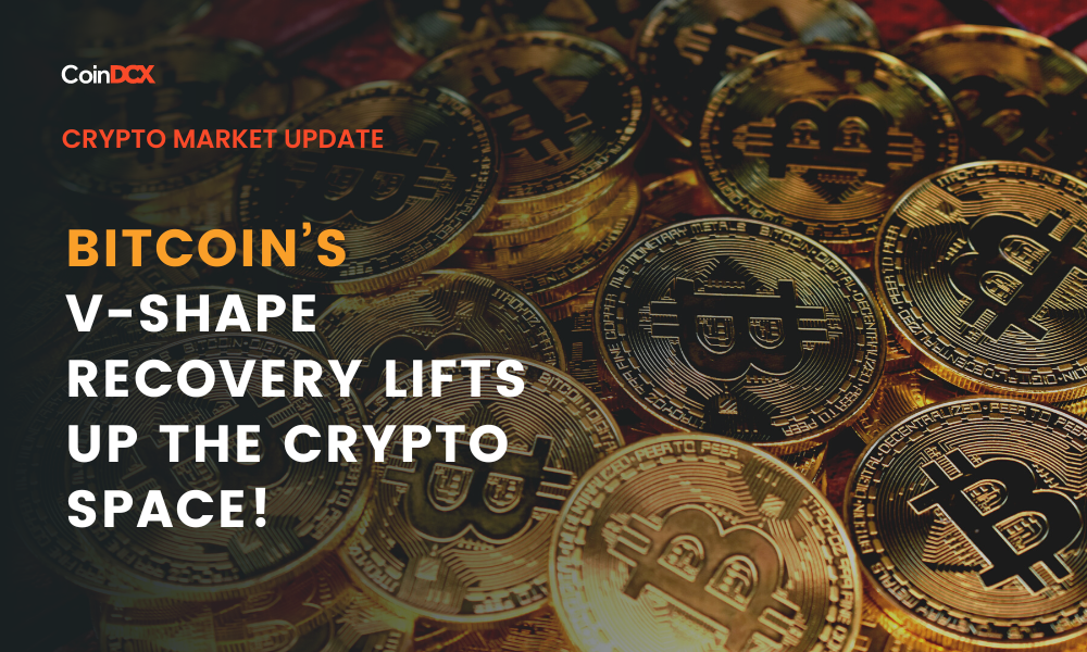 Crypto Market Update