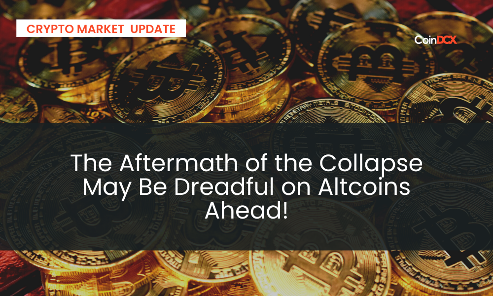 Crypto Market Crash