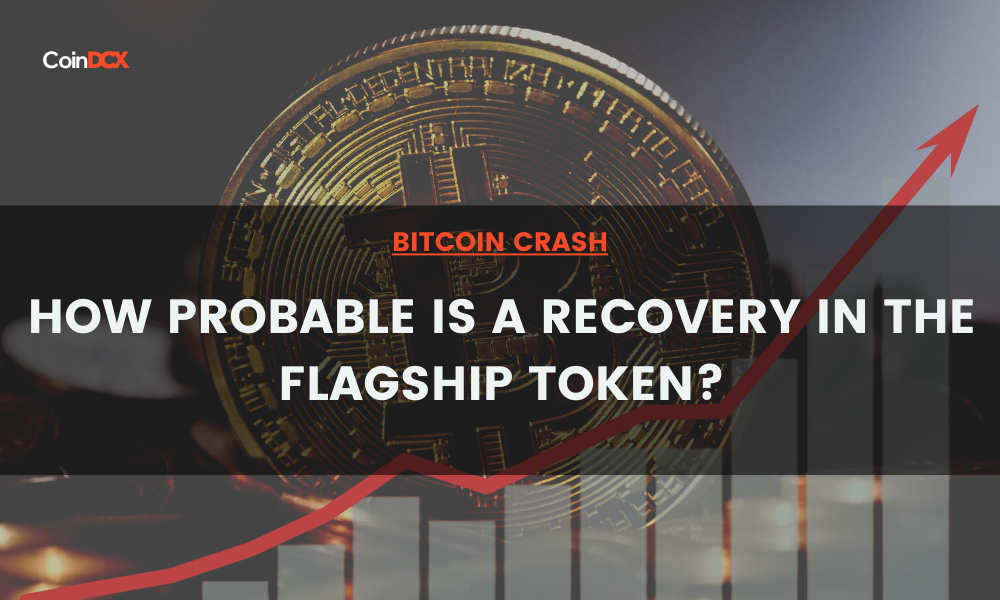 Bitcoin Crash: How Probable is a Recovery in the Flagship Token?