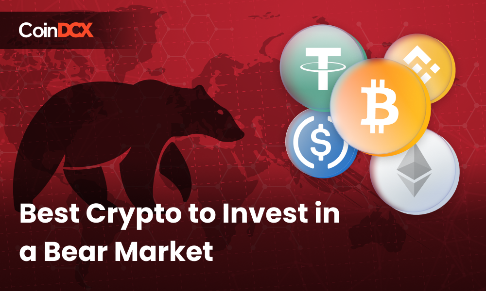 Best Crypto to Invest in the Bear Market!