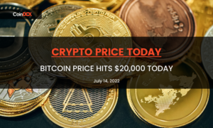 Bitcoin Price