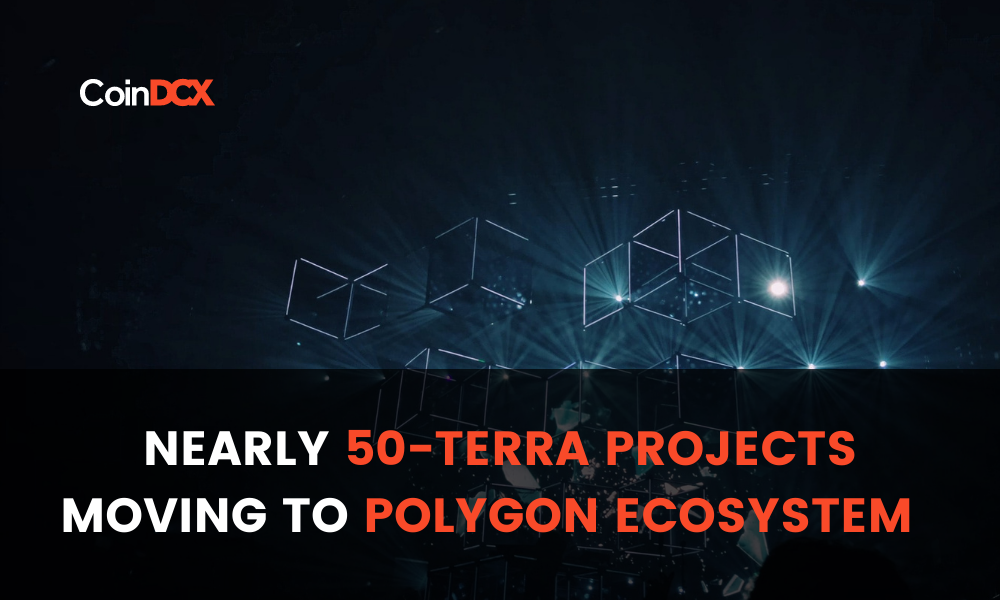 Terra Projects