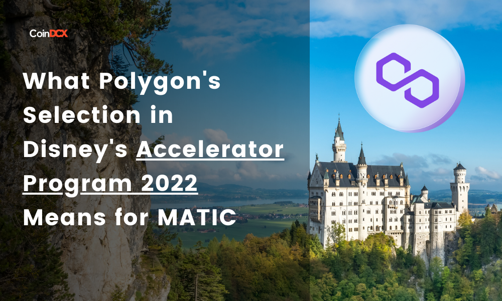 What Polygon's Selection in Disney's Accelerator Program 2022 Means for MATIC