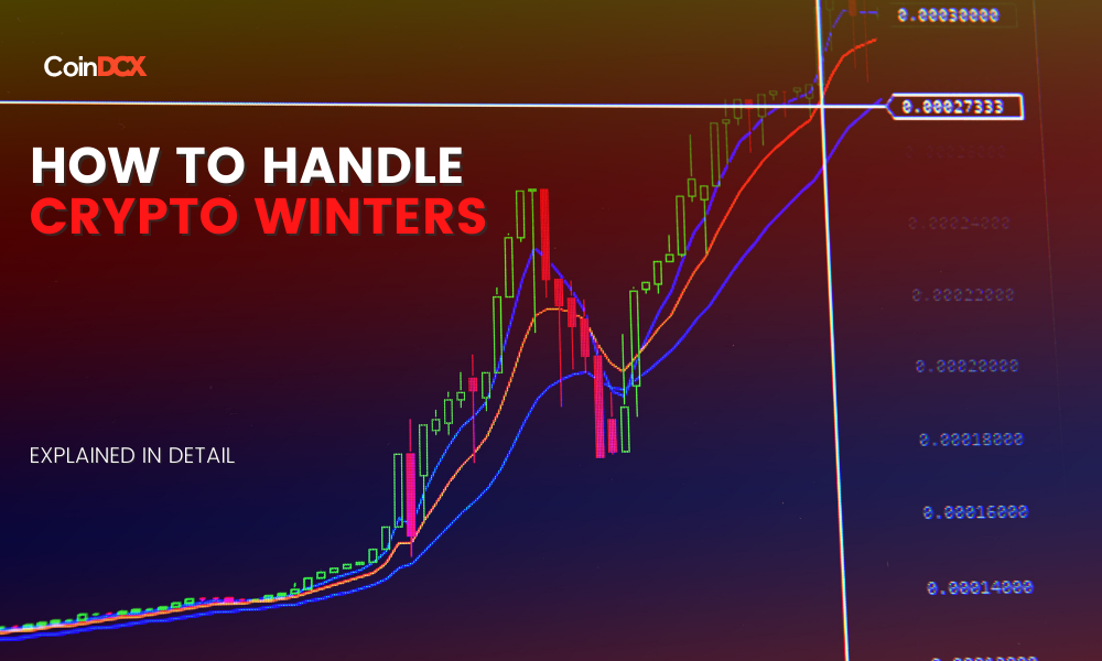 Crypto Winter