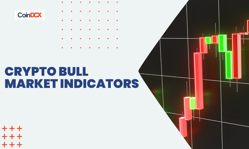Crypto Bull Market