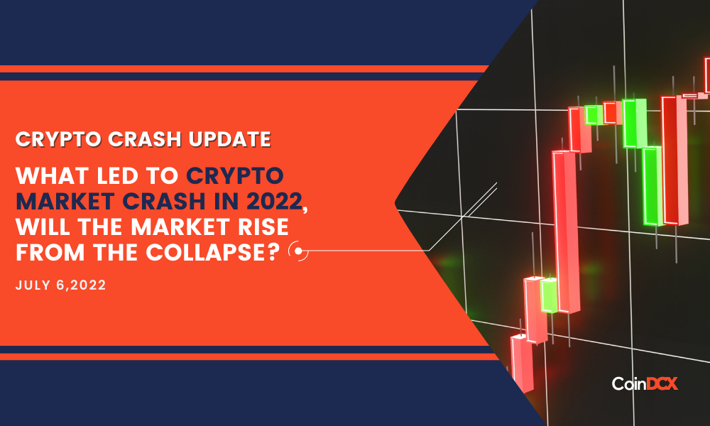 What Led to Crypto Market Crash in 2022, Will the Market Rise From the Collapse?