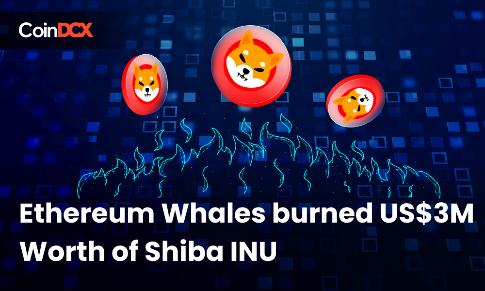 Shiba INU