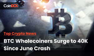 Top Crypto News: BTC Wholecoiners Surge to 40K Since June Crash