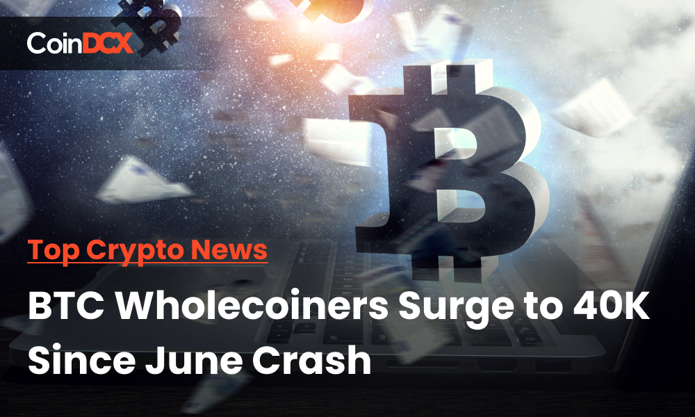 Top Crypto News: BTC Wholecoiners Surge to 40K Since June Crash