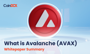 What is Avalanche (AVAX) | Whitepaper Summary
