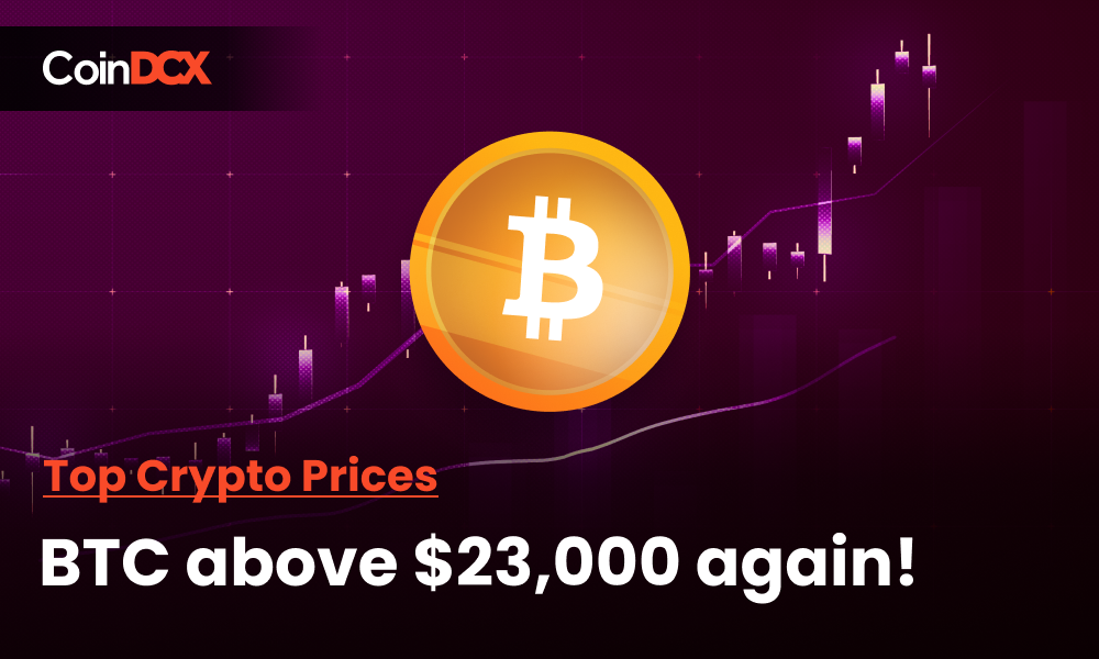 top crypto prices