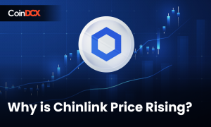Why is Chainlink (LINK) Price Rising?