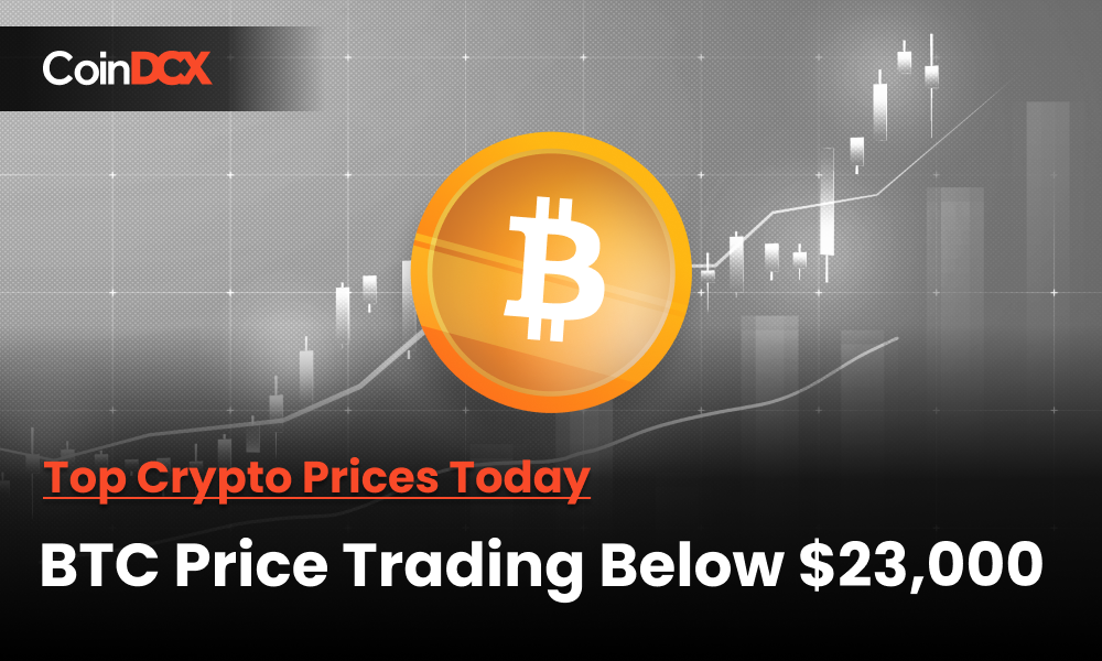 Top Crypto Prices Today: Bitcoin Price Trading Below $23,000, Ethereum Under $1700 Again