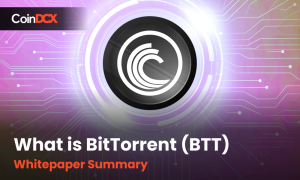 What is BitTorrent (BTT) | Whitepaper Summary