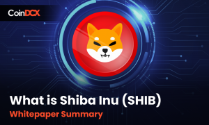 What is Shiba Inu (SHIB) | Whitepaper Summary