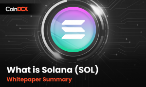 Solana Whitepaper