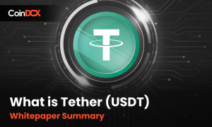 What is Tether (USDT) | Whitepaper Summary