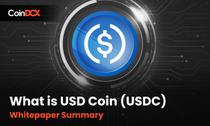 What is USD Coin (USDC) | Whitepaper Summary