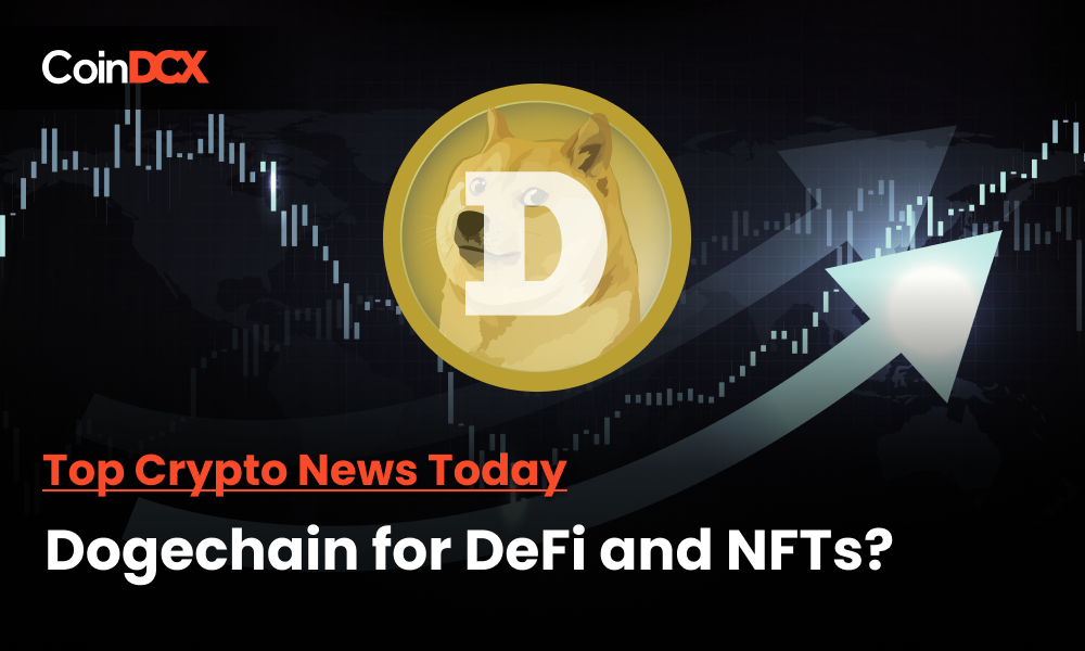 Top Crypto News Today: Dogechain for DeFi and NFTs?