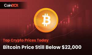 Top Crypto Prices Today: Crypto Market Cap Sustains at $1.02 trillion, Bitcoin Price Still below $22,000, Ethereum above $1600