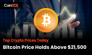 Top Crypto Prices Today: Bitcoin Price holds above $21,500, Ethereum at $1675, Ethereum Classic Gains Big!
