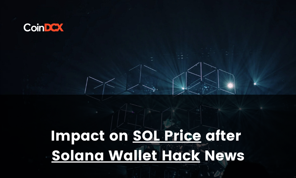 Impact on SOL Price after Solana Wallet Hack News