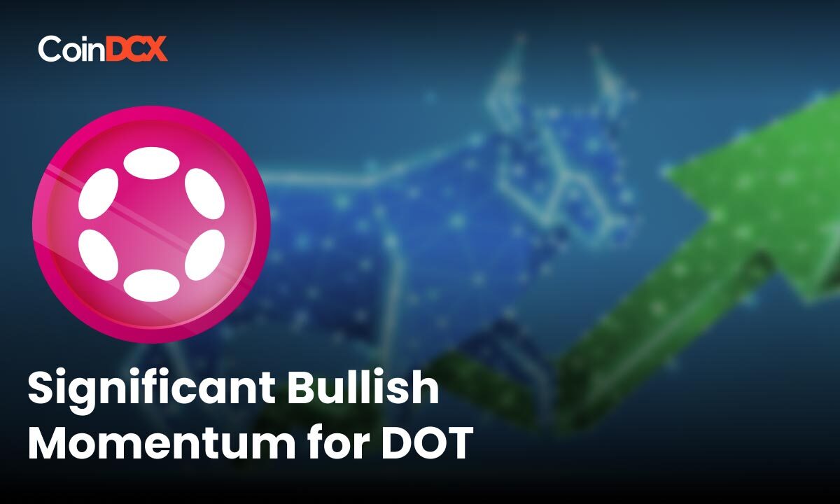 DOT Price