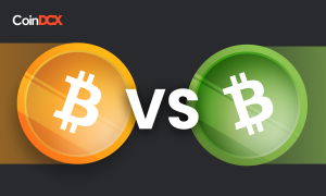 Bitcoin vs Bitcoin Cash: A Comparative Analysis