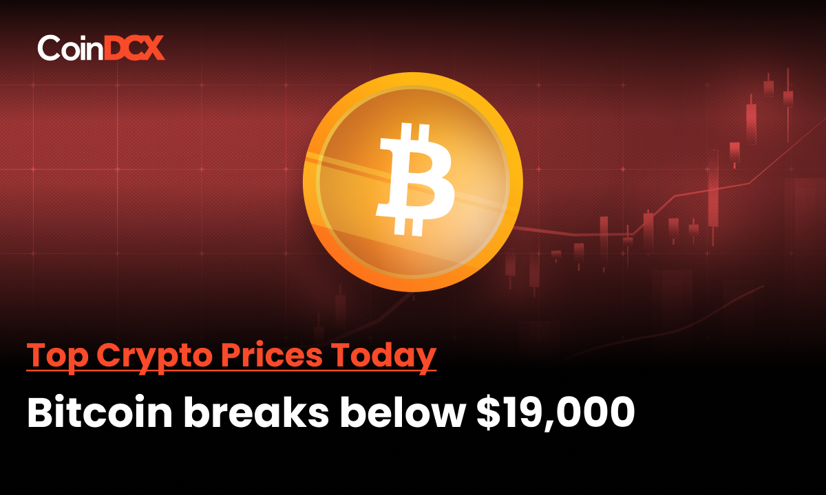 Crypto Crash