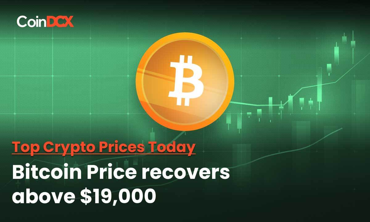 Crypto Prices Today: Bitcoin Price recovers above $19,000, Ethereum around $1300, Polkadot, XRP gains 9%!