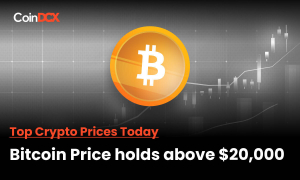 Crypto Market Cap falls from $1 trillion again, Bitcoin Price holding on to $20,000, & Other Top Crypto Prices in the Red!