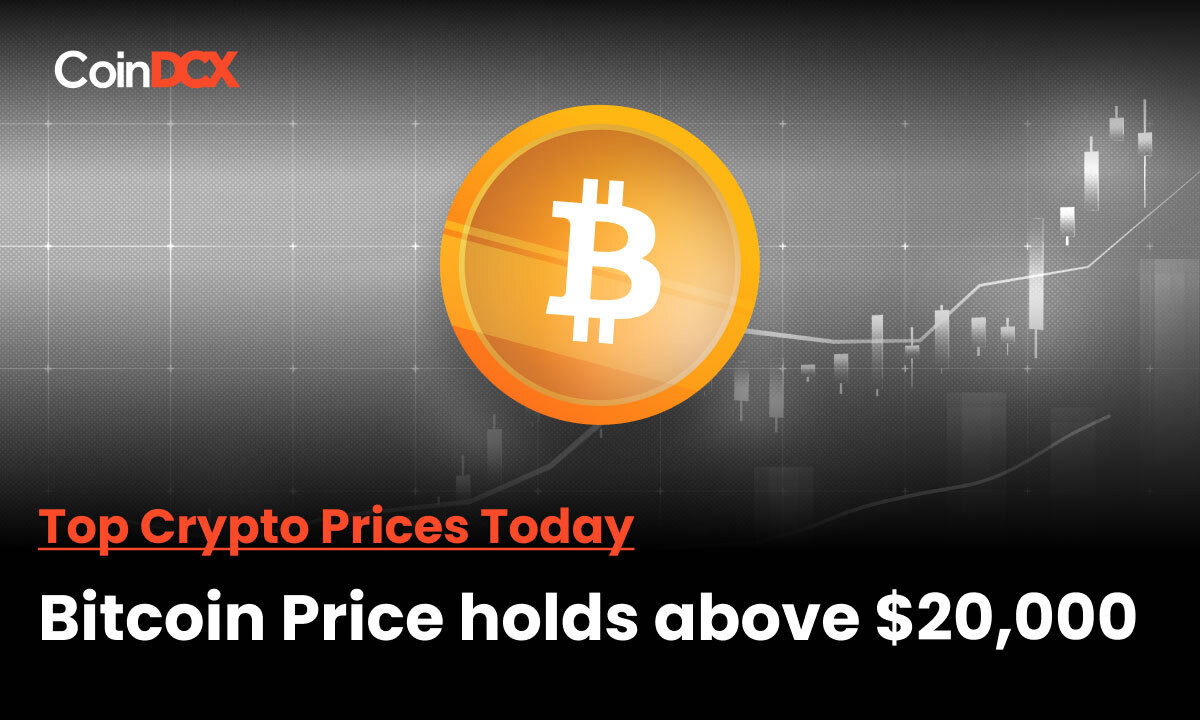 Crypto Market Cap falls from $1 trillion again, Bitcoin Price holding on to $20,000, & Other Top Crypto Prices in the Red!