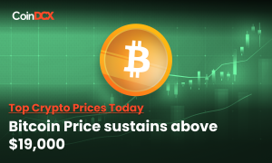 Crypto Prices Today: Bitcoin Price above $19,000, Ethereum below $1300, Polkadot, XRP, LINK record losses