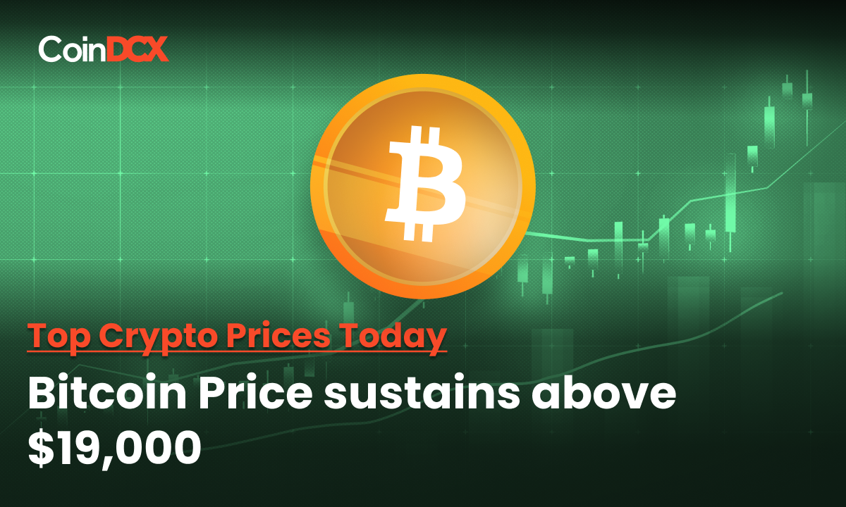 Crypto Prices Today: Bitcoin Price above $19,000, Ethereum below $1300, Polkadot, XRP, LINK record losses