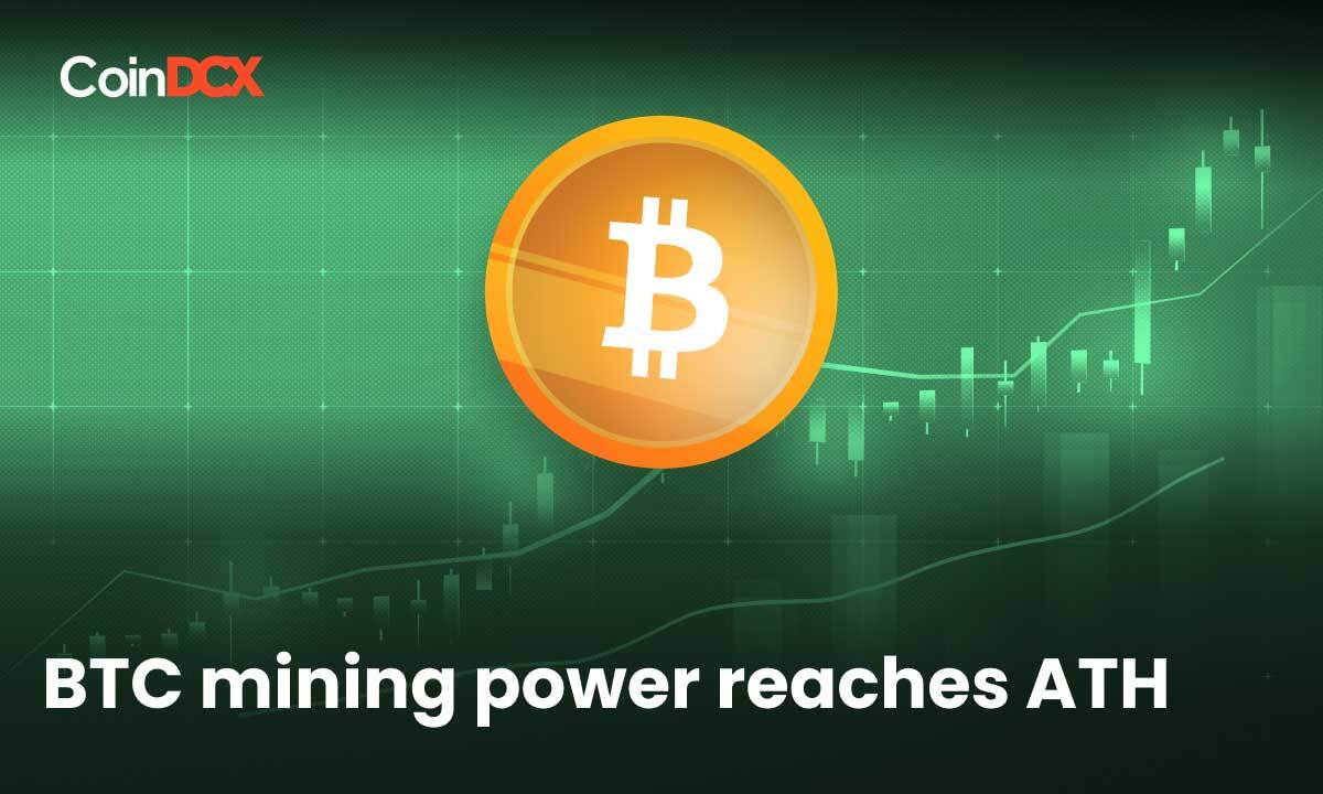 Top Crypto News