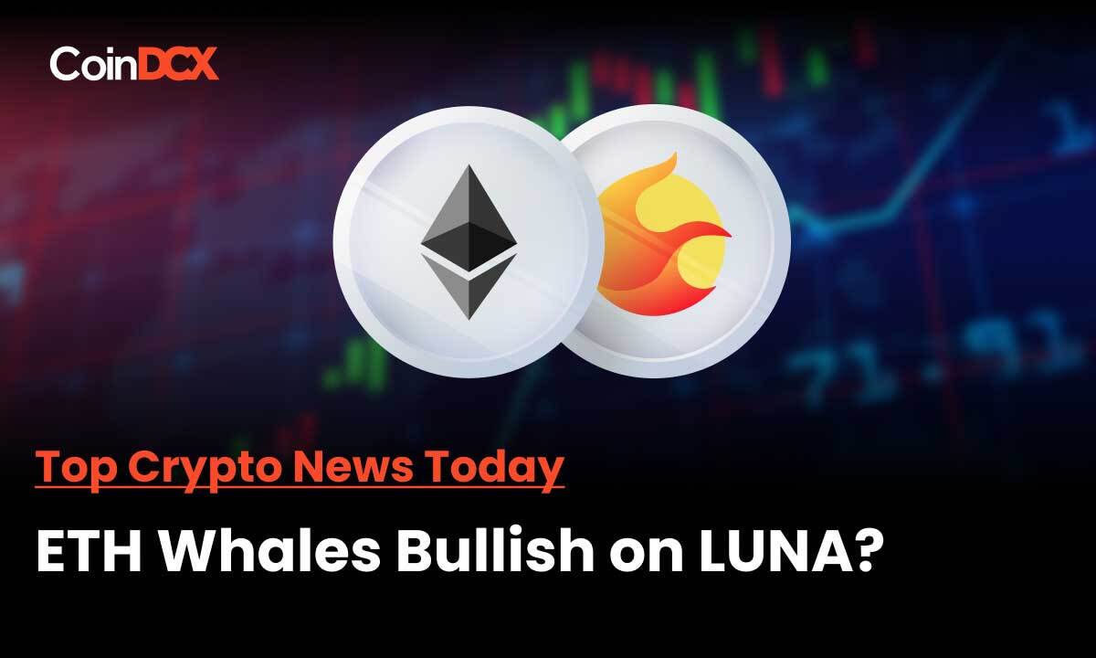 Top Crypto News: Top 100 ETH Whales’ Wallet Now Holds large amount of Terra LUNA