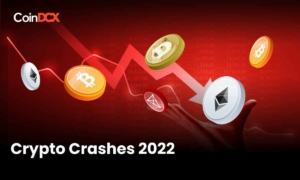 The Crypto Crashes Of 2022 - Crypto Market Recap