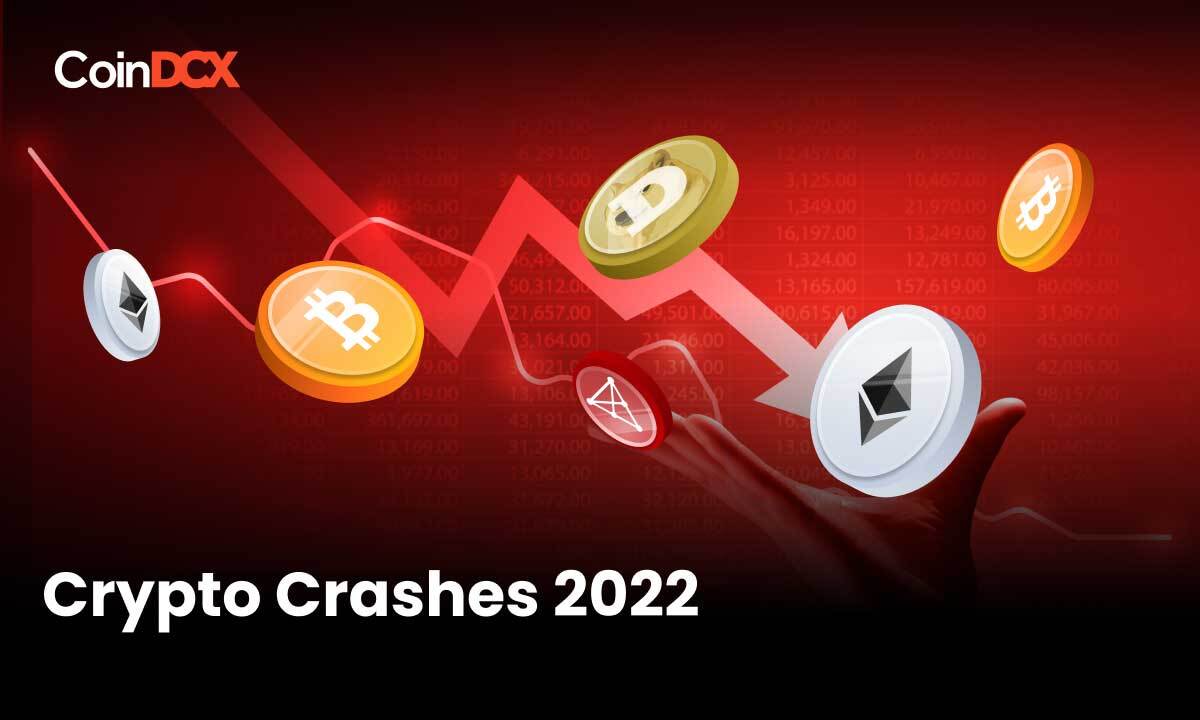 The Crypto Crashes Of 2022 - Crypto Market Recap