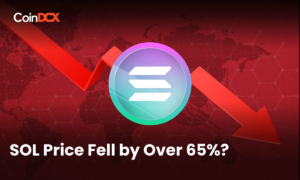 Why did Solana Price fall by over 65% in the Last 30 Days?