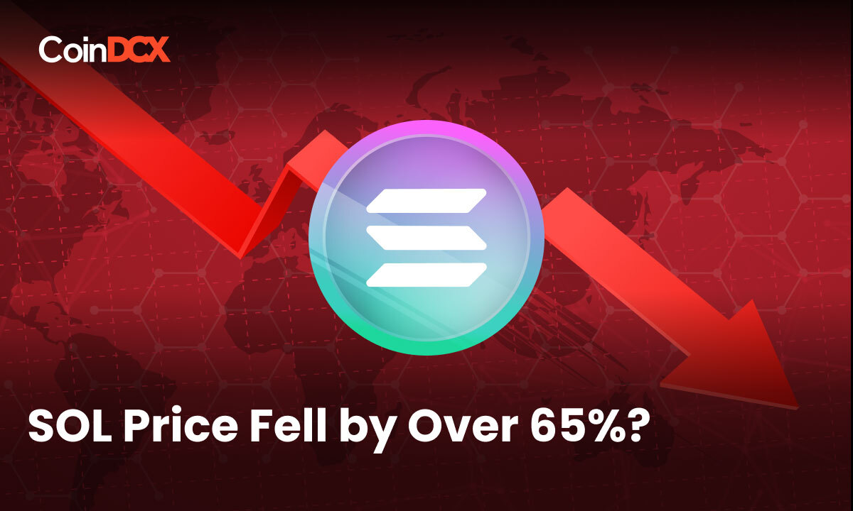 Why did Solana Price fall by over 65% in the Last 30 Days?