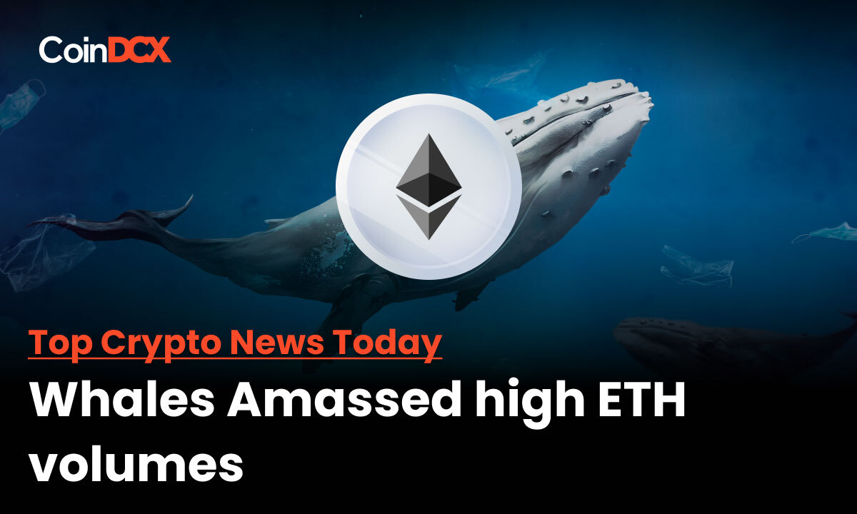 Ethereum Whales Accumulation soars to an All Time High in 2 Years with ETH Price trading below $1200