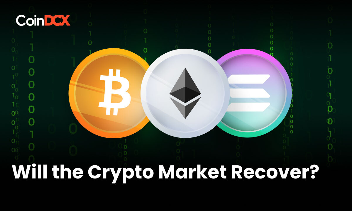 Top Cryptos Like Bitcoin, Ethereum, Solana, etc, Crashed Hard; Will the Crypto Markets Ever Recover From the Crash?